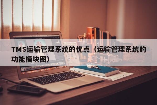 TMS运输管理系统的优点（运输管理系统的功能模块图）